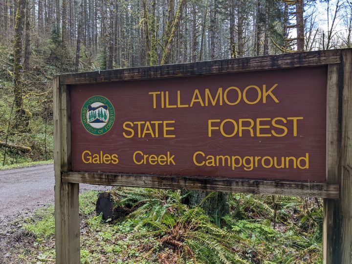 Some campgrounds slated to close for season in Tillamook, Clatsop State Forests