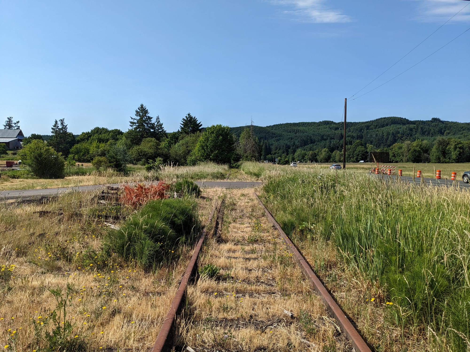 Salmonberry Trail Foundation offering guided hikes and a work party in December, January