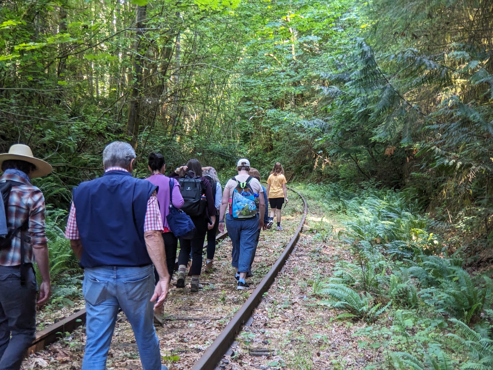 Salmonberry Trail Foundation offering guided hikes and a work party in December, January