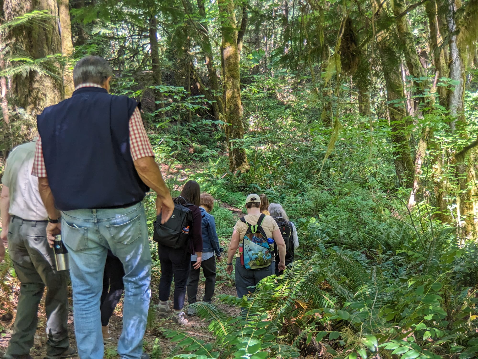 Salmonberry Trail Foundation offering guided hikes and a work party in December, January