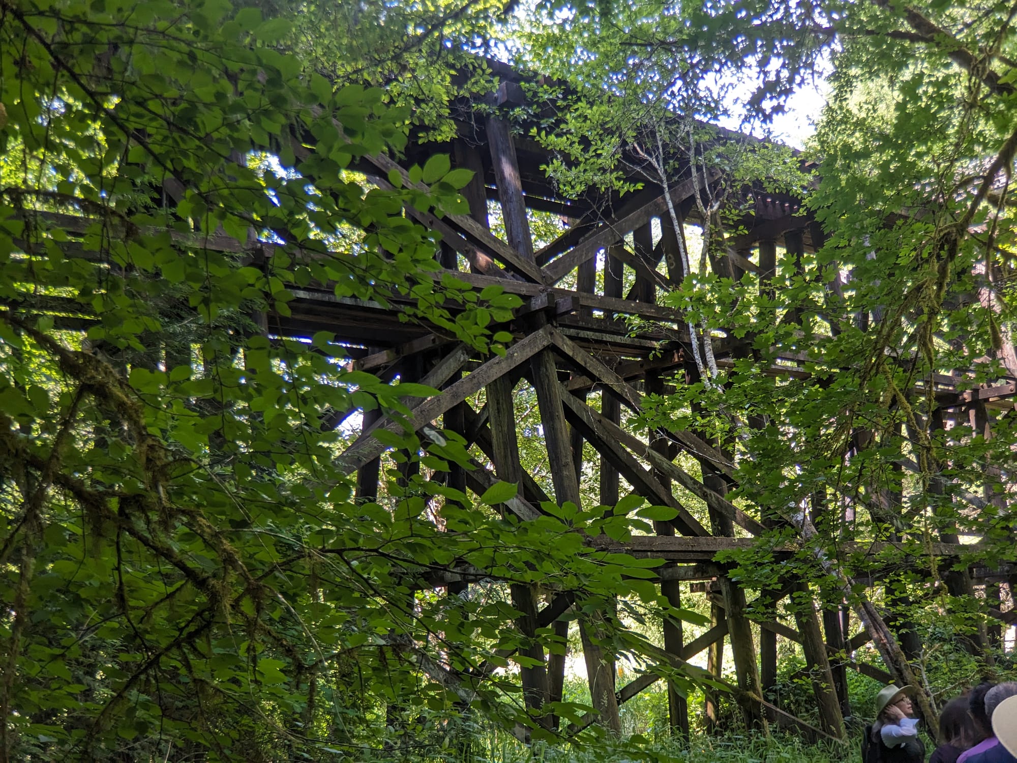 Salmonberry Trail Foundation offering guided hikes and a work party in December, January