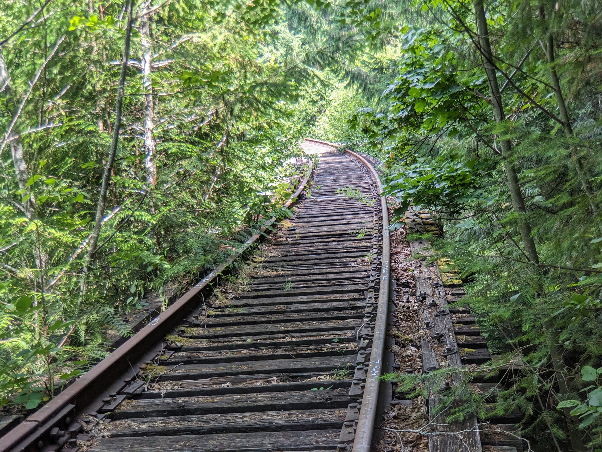 Salmonberry Trail Foundation offering guided hikes and a work party in December, January