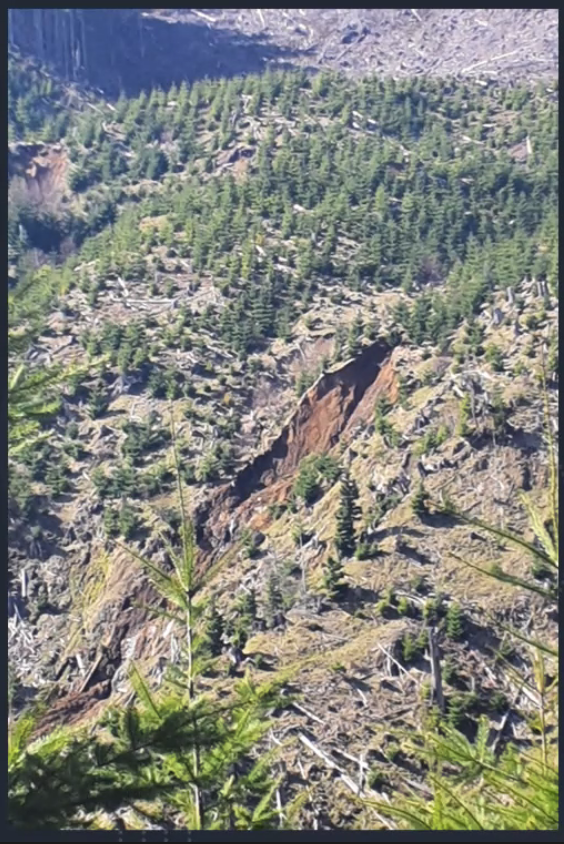 Slide on North Fork Gales Creek muddies water in Tualatin River