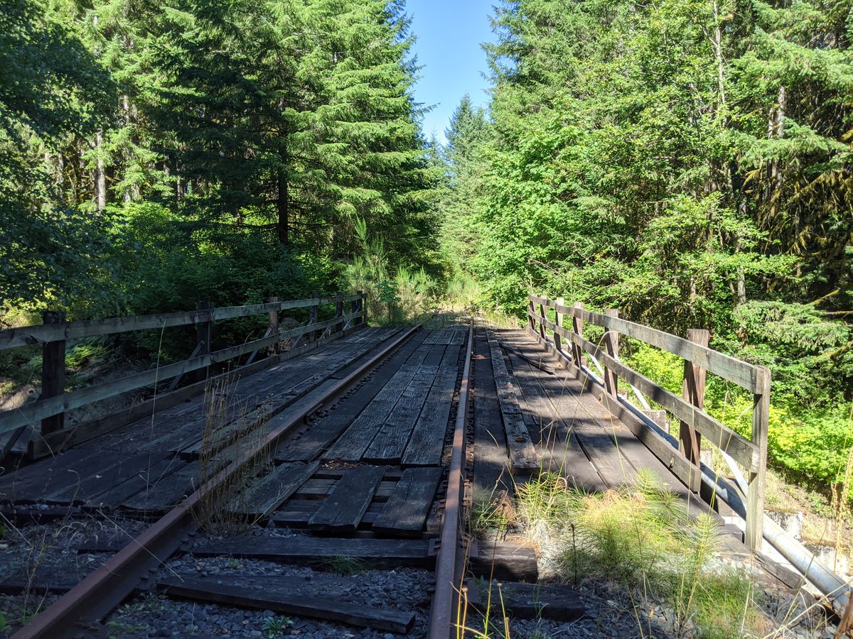 Salmonberry Trail Intergovernmental Agency meeting virtually August 8