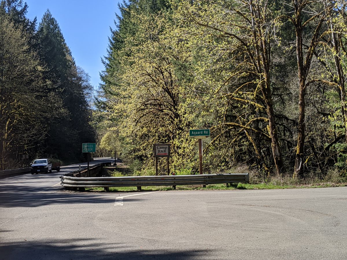 Western red cedars are sick. Researchers are looking at trees near the Tillamook Forest to find out why