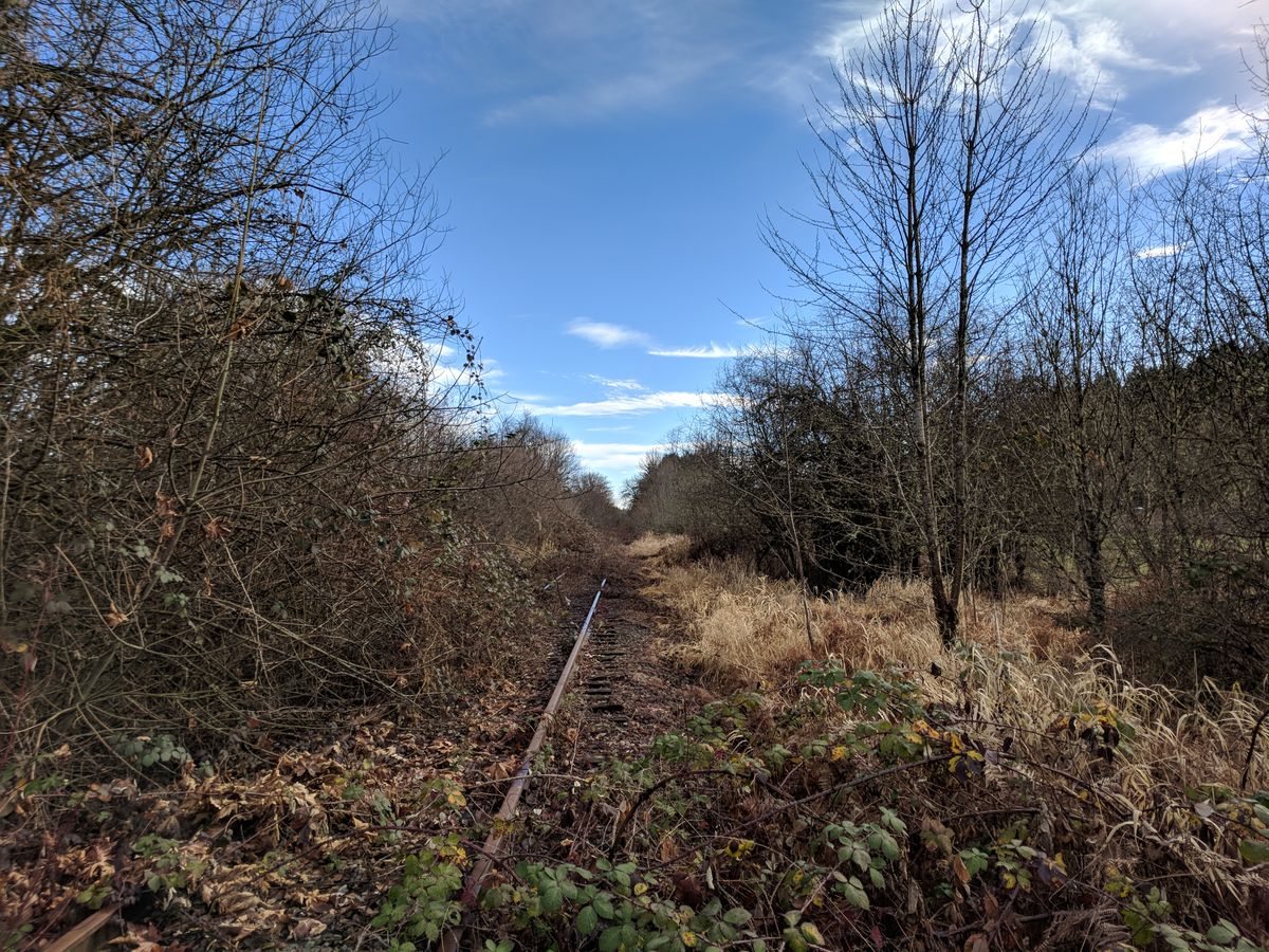 Salmonberry Trail Intergovernmental Agency to meet in Buxton Feb. 16