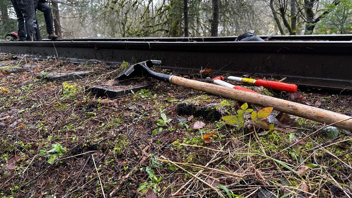Salmonberry Trail cleanup in Buxton April 2