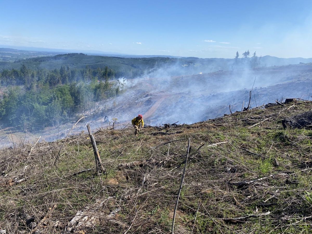 Five wildfires of note have already burned in local ODF-protected lands