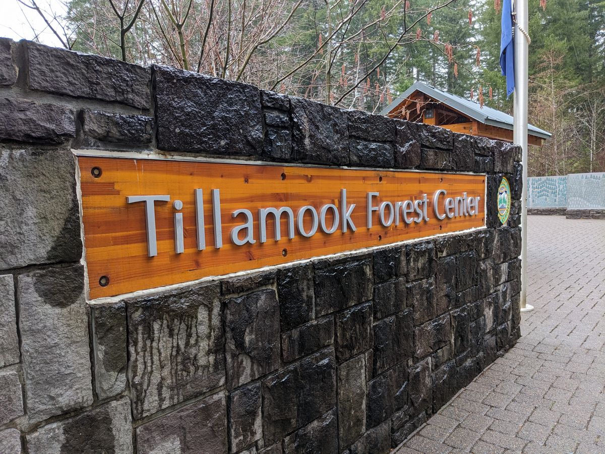 Event at Tillamook Forest Center to celebrate 50 years of the Tillamook State Forest