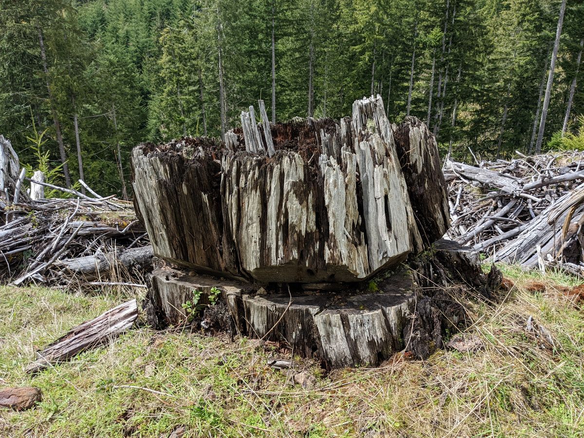 The Tillamook Burn ignited 90 years ago today