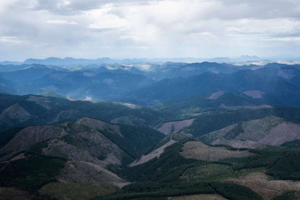 Habitat plan for western state forests could cost counties $18 million a year in timber revenue