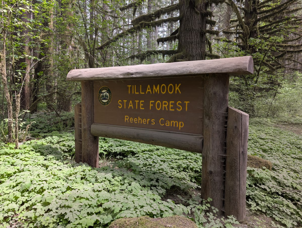 Spring campsites open Friday in the Tillamook State Forest