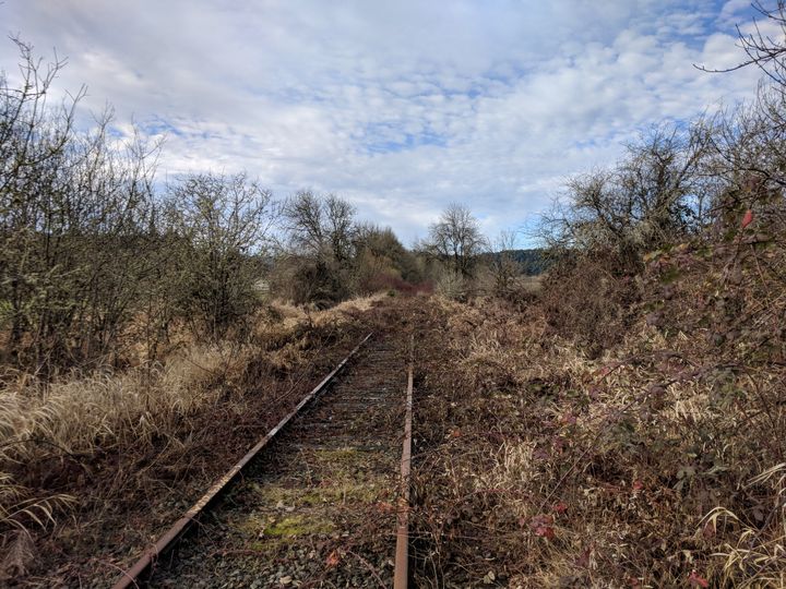 Salmonberry Trail Intergovernmental Agency meeting virtually May 20