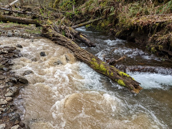 Photos: the landslide muddying North Fork Gales Creek