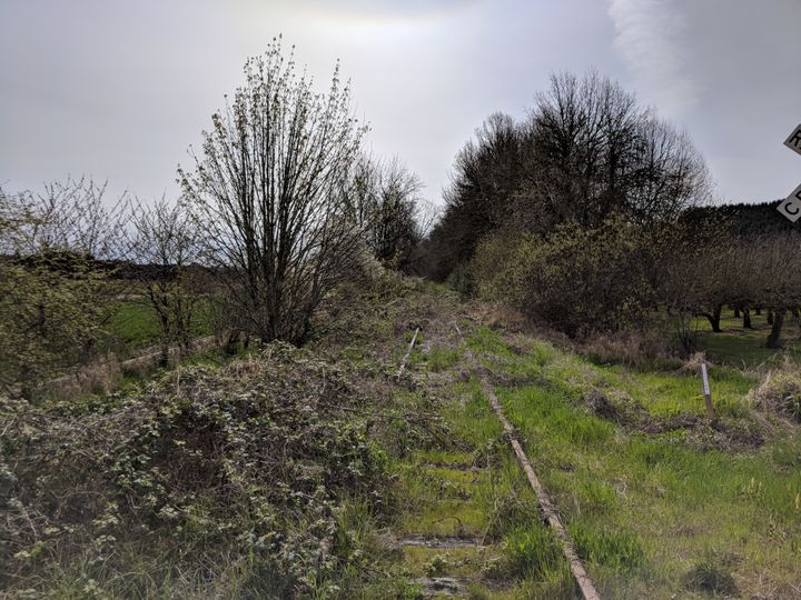 Salmonberry Trail clearing event to be held Wednesday in Manning